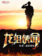 军人使命龙