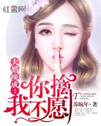 大婚晚辰免费听