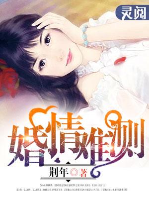婚情难解免费阅读