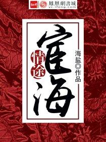 宦海情途全文免费阅读无弹窗
