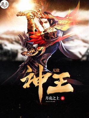 无敌神皇全集