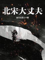 北宋大丈夫介绍