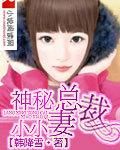 神秘总裁小小妻韩降雪