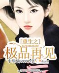 重生之极品再见txt