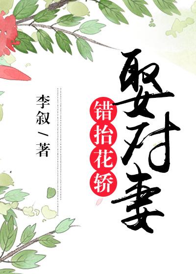 错抬花轿娶对妻gl微盘txt