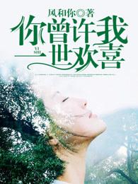 你曾许我一世欢喜是什么歌