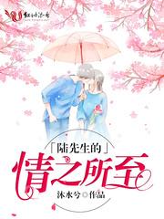 陆先生的情之所至怎么样