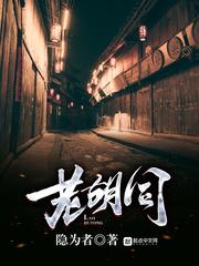 老胡同里曲折又寂寞
