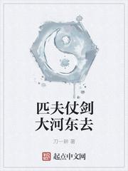 匹夫丈剑大河东