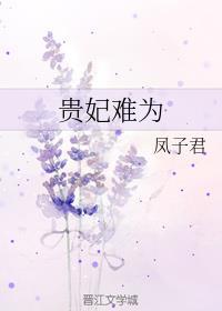 贵妃难为剧情