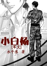 小白杨酒