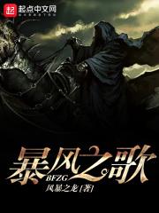 暴风之舞
