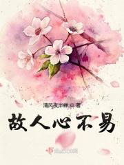 故人心尚远故心人不见的意思
