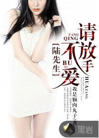 陆先生我不再爱你了