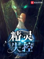 精灵dji