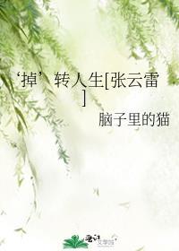 掉转人生张云雷在线阅读