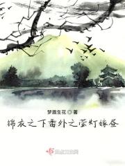 锦衣之下成亲番外