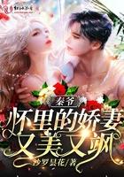 秦爷怀里的娇妻大佬