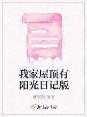 屋顶上的阳光阅读