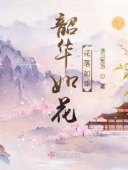 韶华如水是什么意思