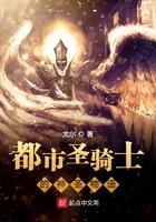都市之圣骑士