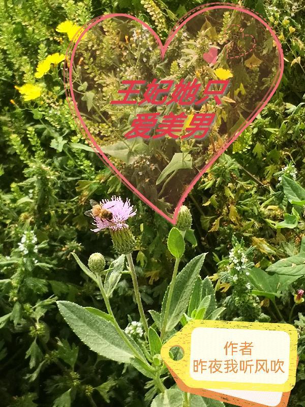 王妃她又美又飒免费阅读萌千喜