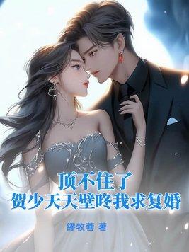 贺少与闪婚人物介绍