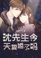 沈先生你今天离婚了吗