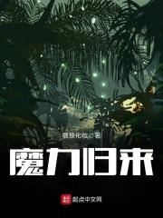 魔力归来攻宠