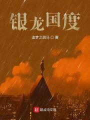 dnd 银龙